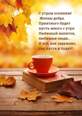 С добрым осенним утром!☕️ Отличного дня!☂️🍁 Супер Песня! Красивая  музыкальная открытка Доброе Утро! - YouTube