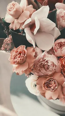 Заставка, обои, картинки, фон, wall , цветы , пионы | Flower iphone  wallpaper, Aesthetic iphone wallpaper, Samsung wallpaper