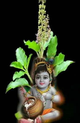 Pin by JAI SHREE SADANANDA on green screen png image | Lord krishna images,  Lord krishna wallpapers, Lord krishna hd wallpaper