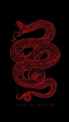 Pin by qillmii on Черные обои | Snake wallpaper, Red aesthetic grunge, Dark  wallpaper