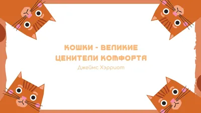 Лучшие обои на рабочий стол, скачать бесплатно популярные картинки и  заставки для компьютера | mob.org