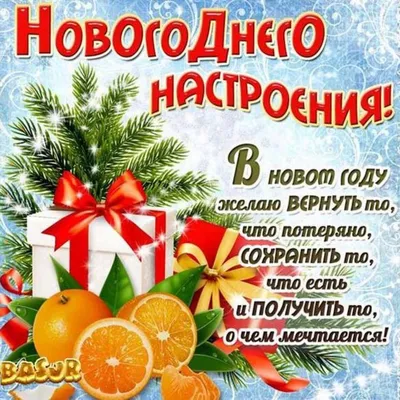 Где скачать крутые новогодние открытки на Айфон и поздравить всех родных,  близких и коллег | AppleInsider.ru