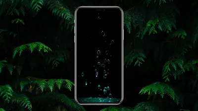 Красивые обои для телефона с iPhone 11 Pro | iRazberu | Дзен