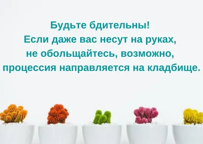 ЛУЧШИЕ СТАТУСЫ - ЛУЧШИЕ СТАТУСЫ added a new photo.