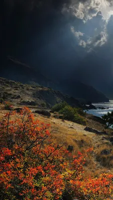 ТОП лучших локаций для фотографий на ЮБК | Где сделать самые красивые фото  в Крыму?