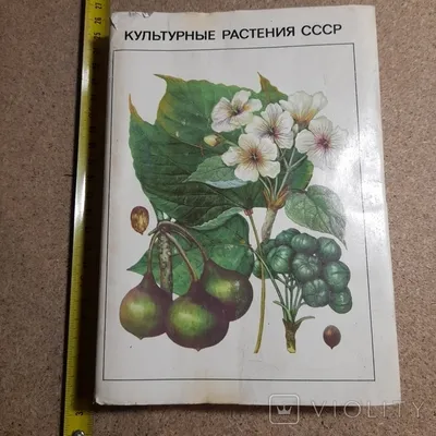 Культурные растения в мировом земледелии. Прядильные культуры, хмель,  табак, махорка и малораспространенные кормовые растения, Ториков В. Е.,  Мельникова О. В., Резунова М. В., Издательство Лань, 2023 г. - купить  книгу, читать онлайн