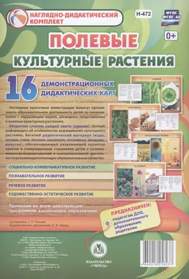 Фрукты и другие культурные растения