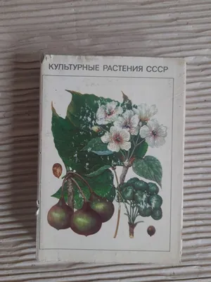 И.Г. Лукашевич Однодольные культурные растения. Часть 2. Купить в Могилеве  — Книги Ay.by. Лот 5026730673