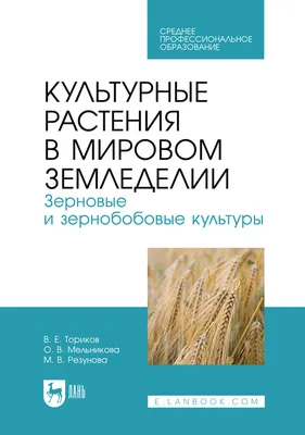 Культурные растения: вкус земли лекция смотреть, слушать и читать онлайн.  Курс Природа библейских земель. Сергей Хрибар - Магистерия