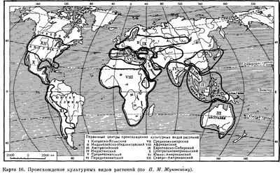 Купить Карта \"Важнейшие культурные растения и их родина\", масштаб 1:25 000  000, размер 950*1440 мм: в Алмате, Астане • Цена на Офис Эксперт - oe.kz
