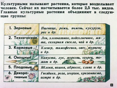 Культурные растения в мировом земледелии. Зерновые и зернобобовые культуры.  Учебное пособие для СПО, О. В. Мельникова – скачать pdf на ЛитРес