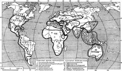 Окружающий мир. Дикорастущие и культурные растения. | Удоба - бесплатный  конструктор образовательных ресурсов