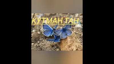 КУТМАН ТАН - YouTube