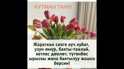 126 отметок «Нравится», 1 комментариев — АЙЫМДАР БАРАКЧАСЫ (@aiymdar.ledy)  в Instagram: «Кутман тан Асылзада Айымдар ❤️ Уйдон кочого чыгып бараткан  болсонор ушу…