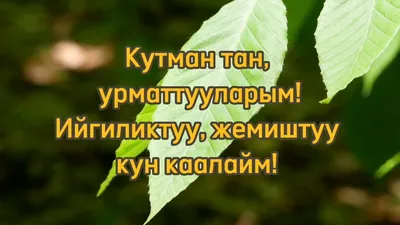 Академии 10 лет! - Академия гражданского просвещения