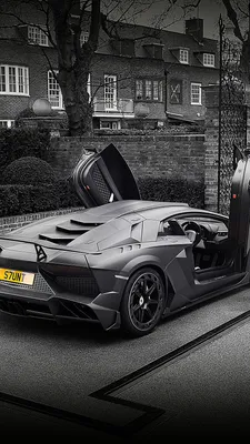 Images Lamborghini Aventador Mansory Grey automobile 1080x1920