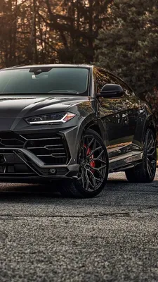 Lamborghini Urus wallpaper by AbdxllahM - 81 - Free on ZEDGE™ | Luxury car  photos, Lamborghini cars, Lamborghini