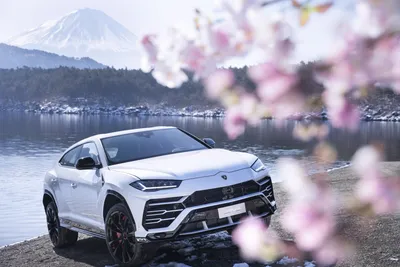 Lamborghini Urus - Desktop Wallpapers, Phone Wallpaper, PFP, Gifs, and More!