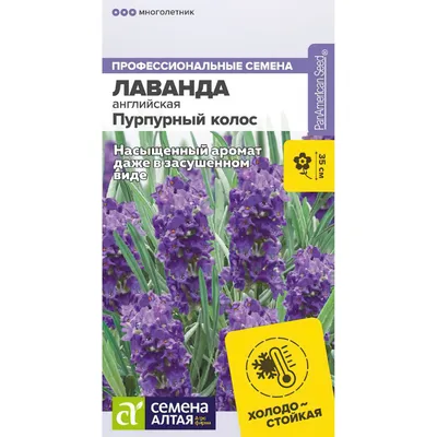 Лаванда узколистная Блу Спир - купить семена цветов с доставкой по Украине  в магазине Добродар