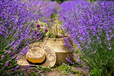 Букет из лаванды и пшеницы, маленький, купить в Екатеринбурге | Flowers  Valley