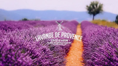 Download do APK de Da lavanda Papel Parede Vivo para Android