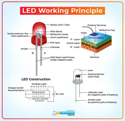 Do LED Lights Attract Bugs and Spiders?