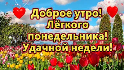 Открытки \"Доброго утра!\" в понедельник (100+)