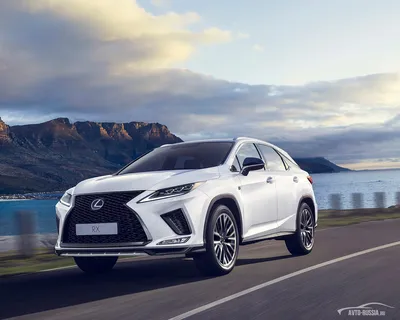 HD lexus logo wallpapers | Peakpx