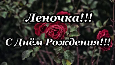 user7301761498742Нина (@01.09.37)'s videos with С днем рождения, Леночка -  Дмитрий Чижов | TikTok