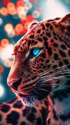 750x1334 Snow Leopard Wallpapers for Apple IPhone 6, 6S, 7, 8 [Retina HD]