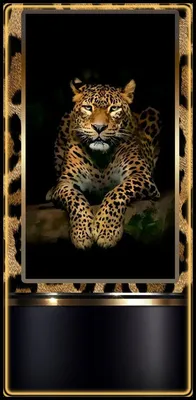 Заставки на Телефон | Cool wallpapers art, Animal print background, Leopard  print wallpaper