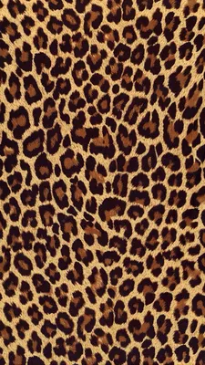 Pin by *•* GABRI *•* on Sfondi | Leopard print wallpaper, Leopard print  background, Leopard wallpaper