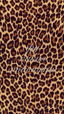 iPhone wallpaper leopard фу какая пошлость | Leopard print wallpaper,  Leopard print background, Leopard wallpaper