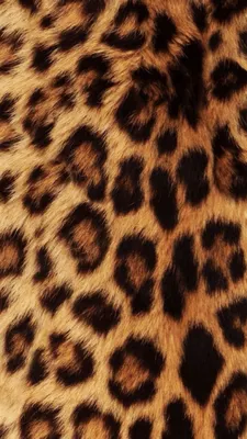 Леопард | Cheetah print wallpaper, Animal print wallpaper, Leopard print  background