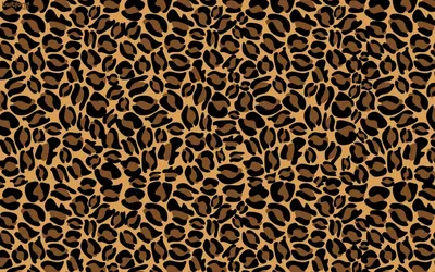 Pin by Satorially Promiscuous on iPhone Wallpaper | Animal print wallpaper,  Leopard wallpaper, Animal print