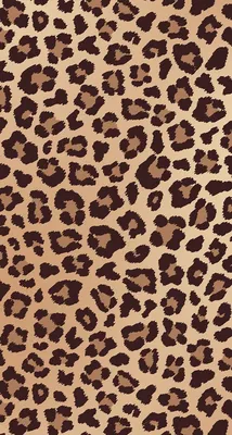 Pin by Дарья on Обои для телефона | Cheetah print wallpaper, Leopard print  wallpaper, Leopard wallpaper