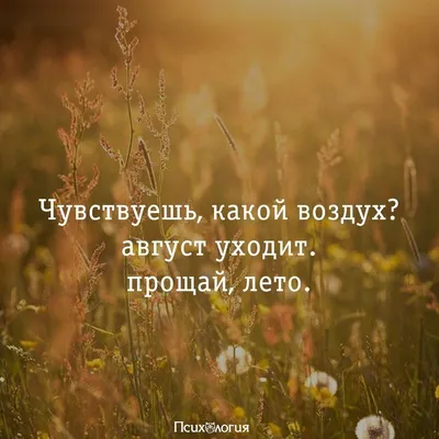 Лето уходит! Каждый день на вес золота | ожизни ТаняТанечкаТанюша | Дзен