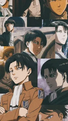 Mikasa and Levi Ackerman wallpapers | Anime, Anime guys, Attack on titan