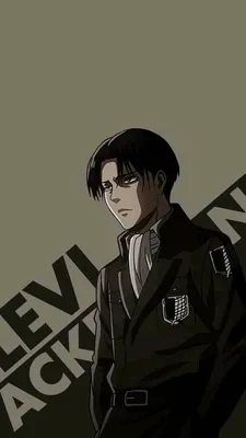 Pin by Jacqueline VS on Clan Ackerman | Attack on titan levi, Levi  ackerman, Levi