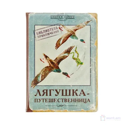 ЛЯГУШКА-ПУТЕШЕСТВЕННИЦА - МУЛЬТИК для ДЕТЕЙ. Детская Сказка НА НОЧЬ.  Мультфильм по Мотивам Сказки. - YouTube