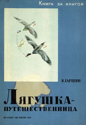 Работа — Лягушка-путешественница!, автор Шувалова Мария Евгеньевна