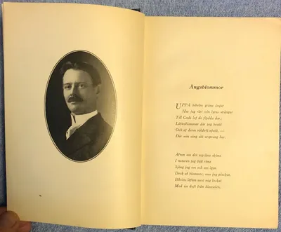 П. И. ЧАЙКОВСКИЙ «ЕВГЕНИЙ ОНЕГИН» Лирические сцены в 3 актах, 7 картинах |  Санкт-Петербургская государственная консерватория имени Н. А.  Римского-Корсакова