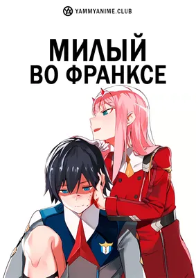 Набор значков \"Любимый во Франксе\" - купить в магазине Fast Anime по цене  1200 руб.