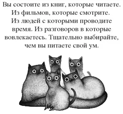 Пока подруги ищут любовь, я ищу смешные картинки - порция юмора с котиками  из моей рукодельной группы | МНЕ ИНТЕРЕСНО - ВТОРАЯ ПОПЫТКА | Дзен