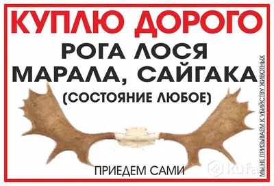 Пока не упал духом, любые другие падения по плечу - Омар Хайям и другие  великие философы, №2591612170 | Фотострана – cайт знакомств, развлечений и  игр