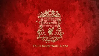 LIVERPOOL FC, black, the reds, HD phone wallpaper | Peakpx