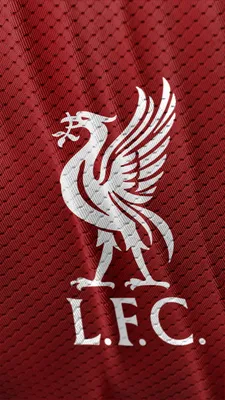 Картинка Liverpool Fc Ynwa для телефона и на рабочий стол iPhone 11