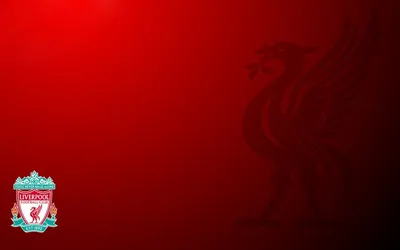 Скачать Liverpool Wallpaper HD APK для Android