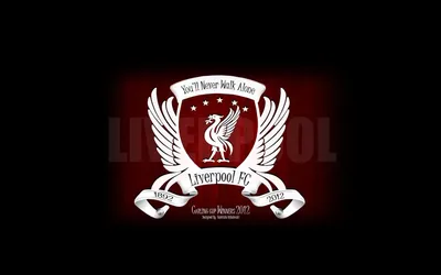 Pin by Ирина Шиманская on Обои, фоны на телефон in 2023 | Liverpool fc  wallpaper, Freddy krueger art, Liverpool fc