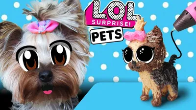 L.O.L. Surprise Pets - ЛОЛ Питомцы - «ЛОЛ Питомцы - собачка, которая меняет  цвет. Об игрушке и аксессуарах подробно.» | отзывы